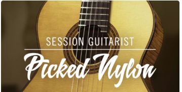 Native Instruments Session Guitarist - Picked Nylon